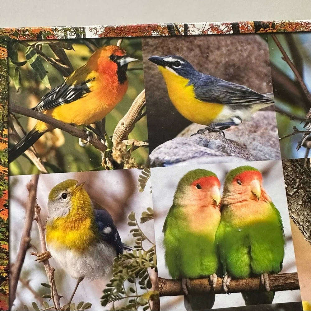 SPRINGBOK 500pc Wild SongBird jigsaw puzzle